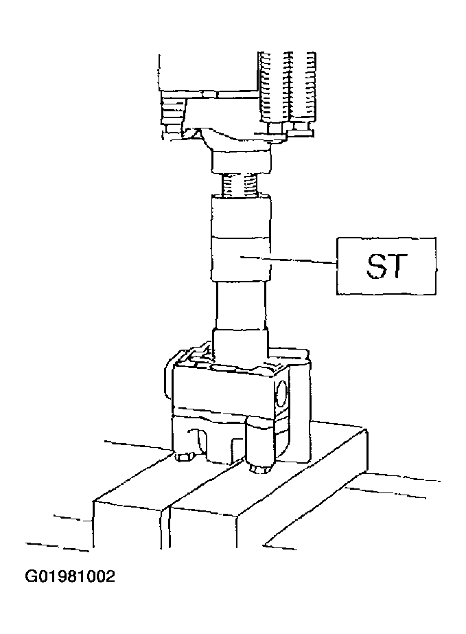 G01981002