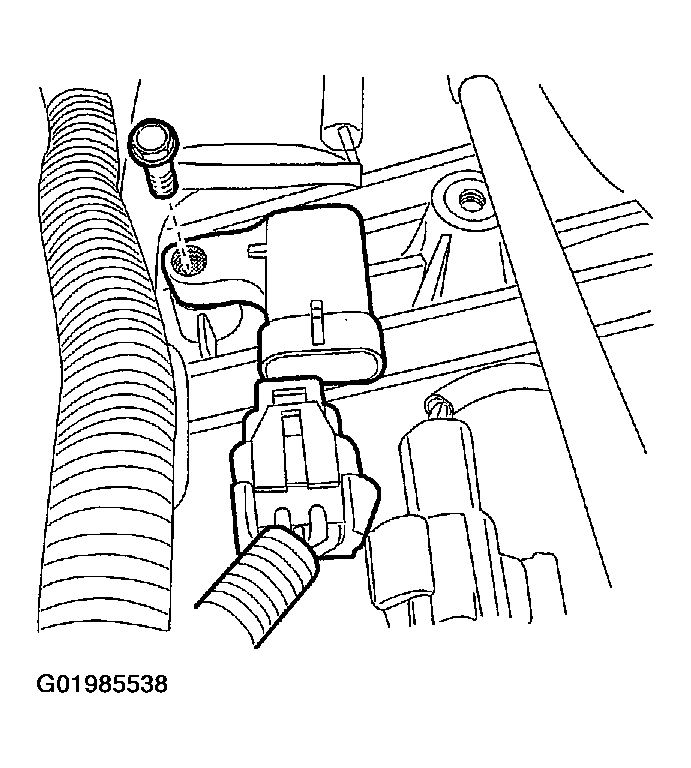 G01985538