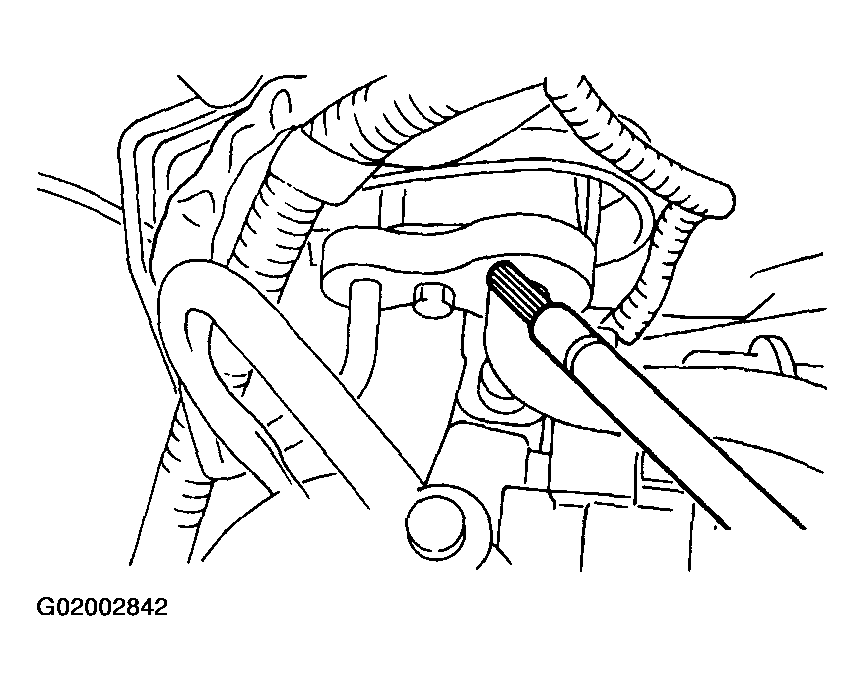 G02002842