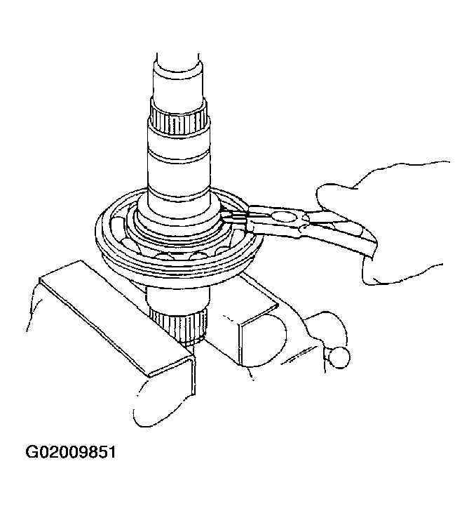 G02009851