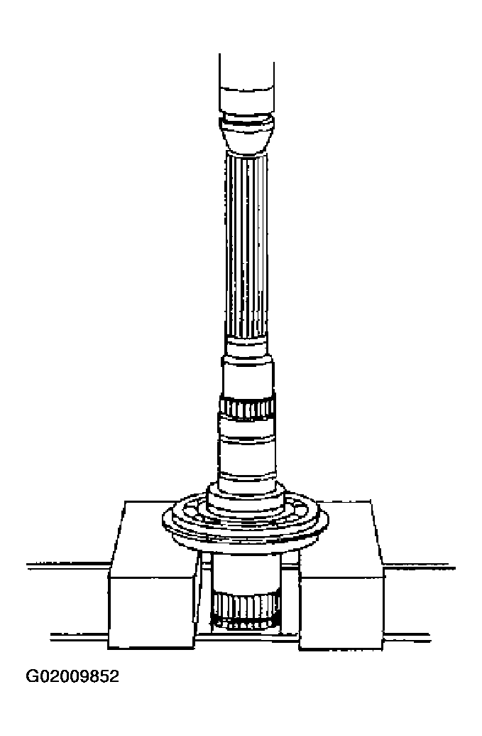 G02009852