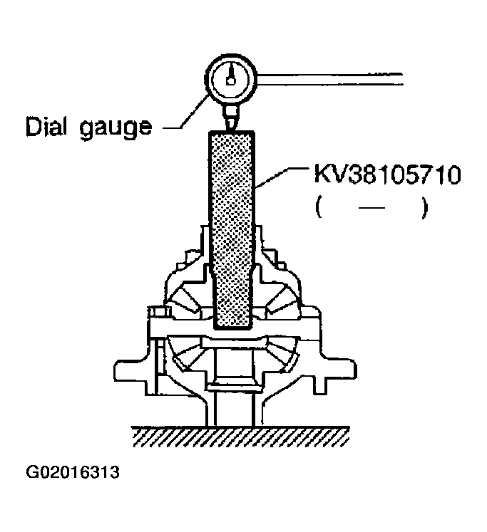 G02016313