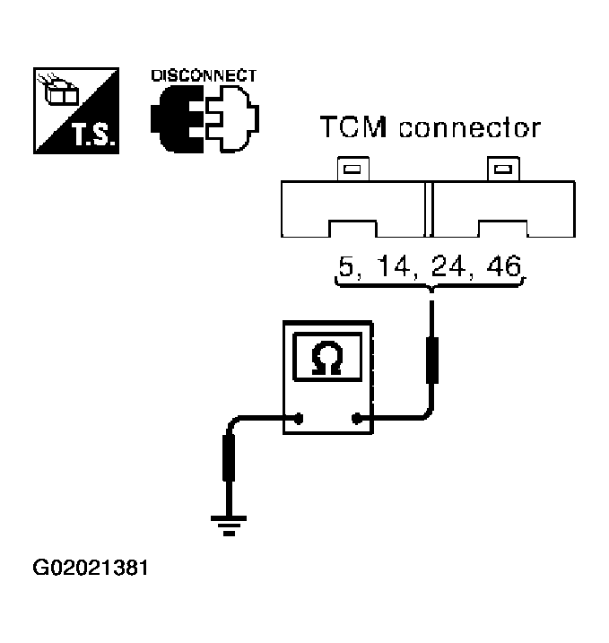 G02021381