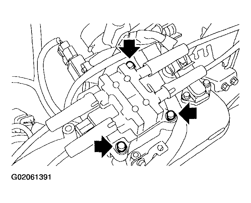 G02061391