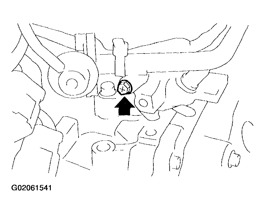 G02061541