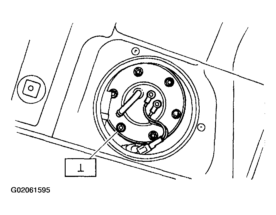 G02061595
