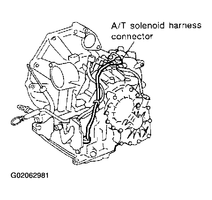 G02062981