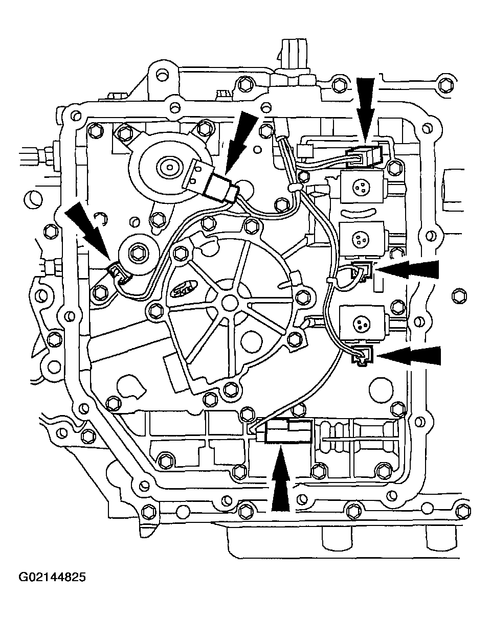 G02144825