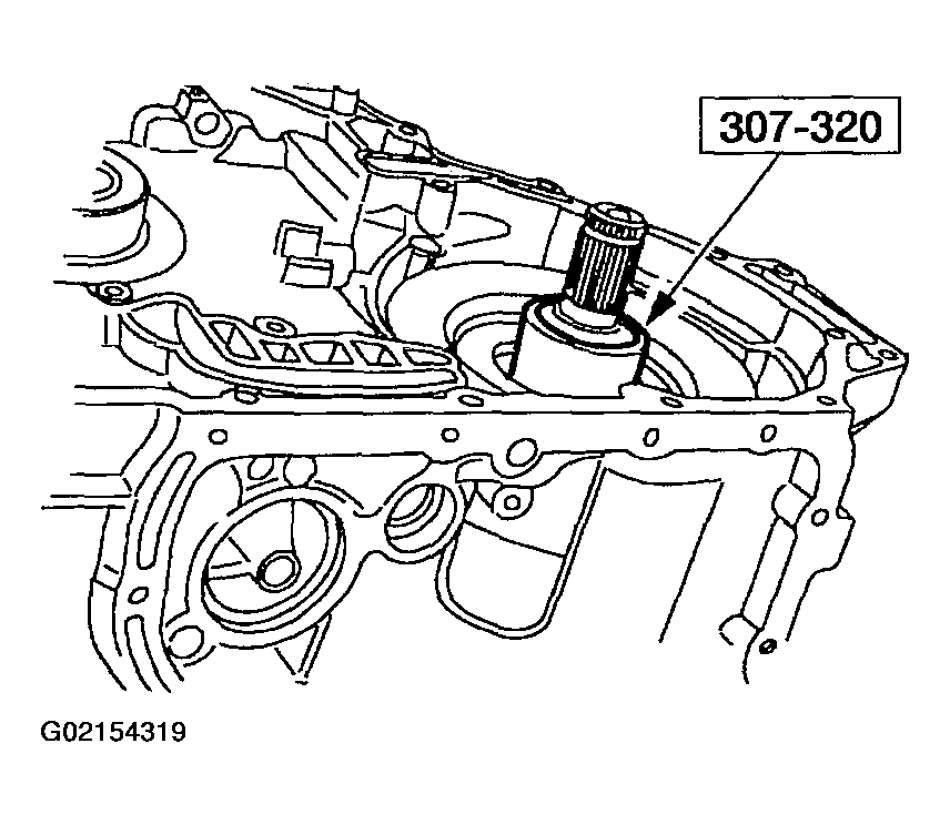 G02154319