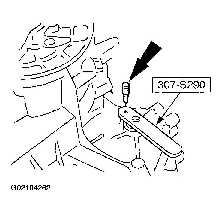 G02164262