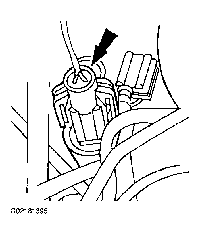 G02181395