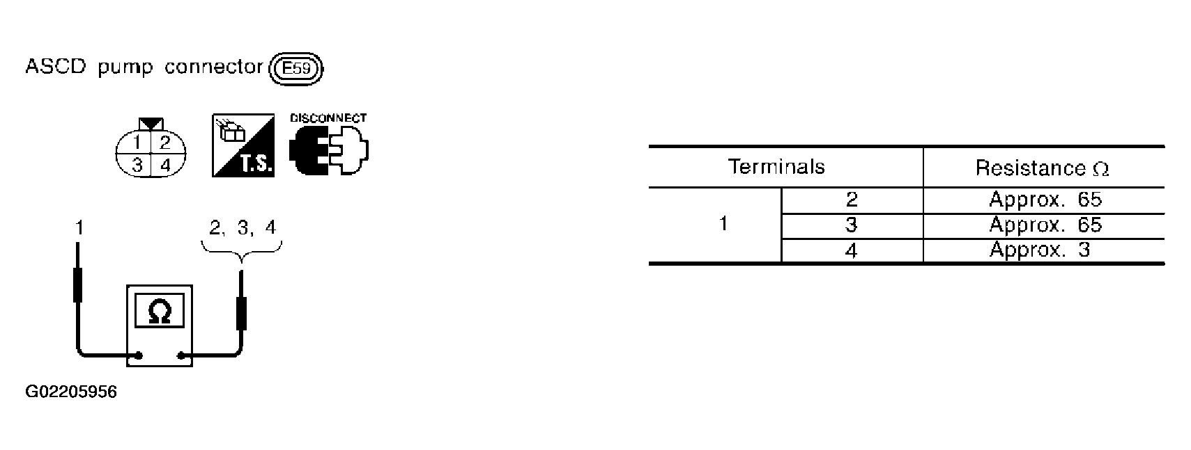 G02205956