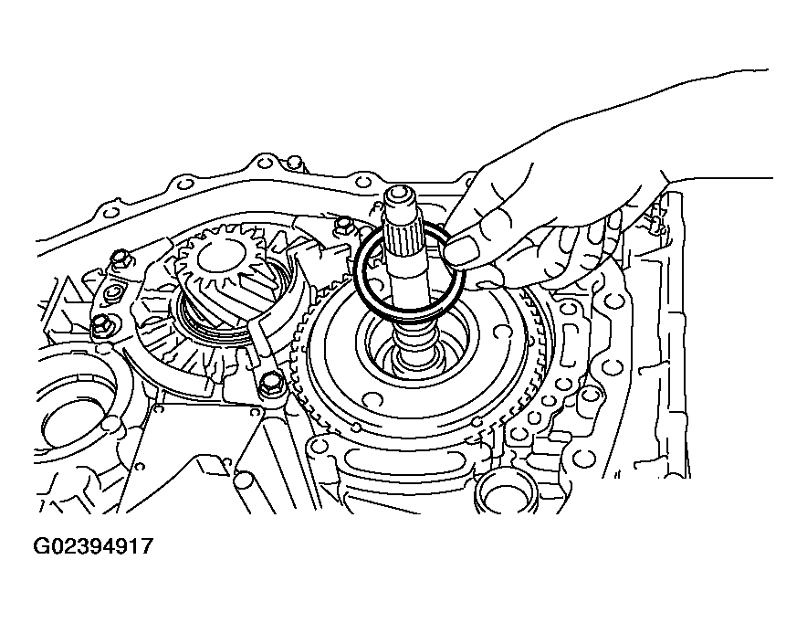 G02394917