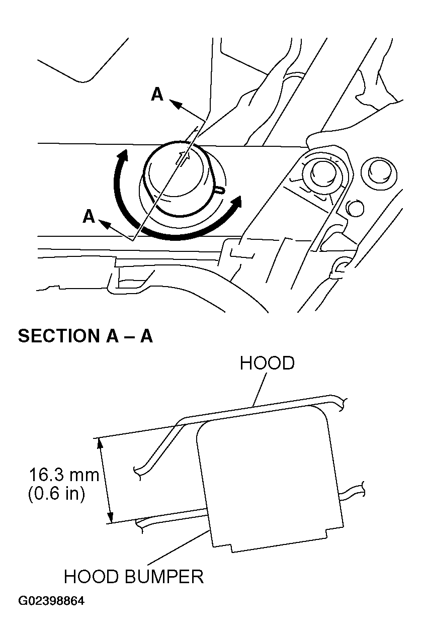 G02398864