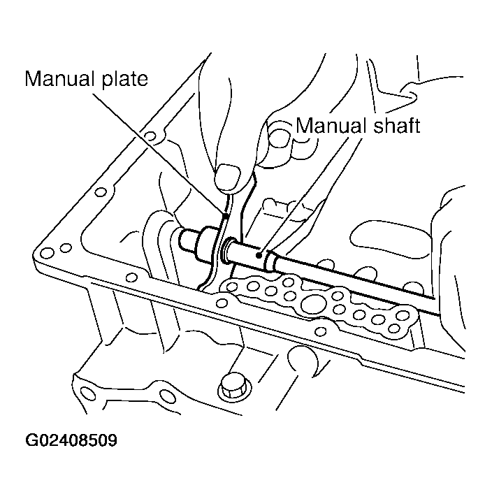 G02408509