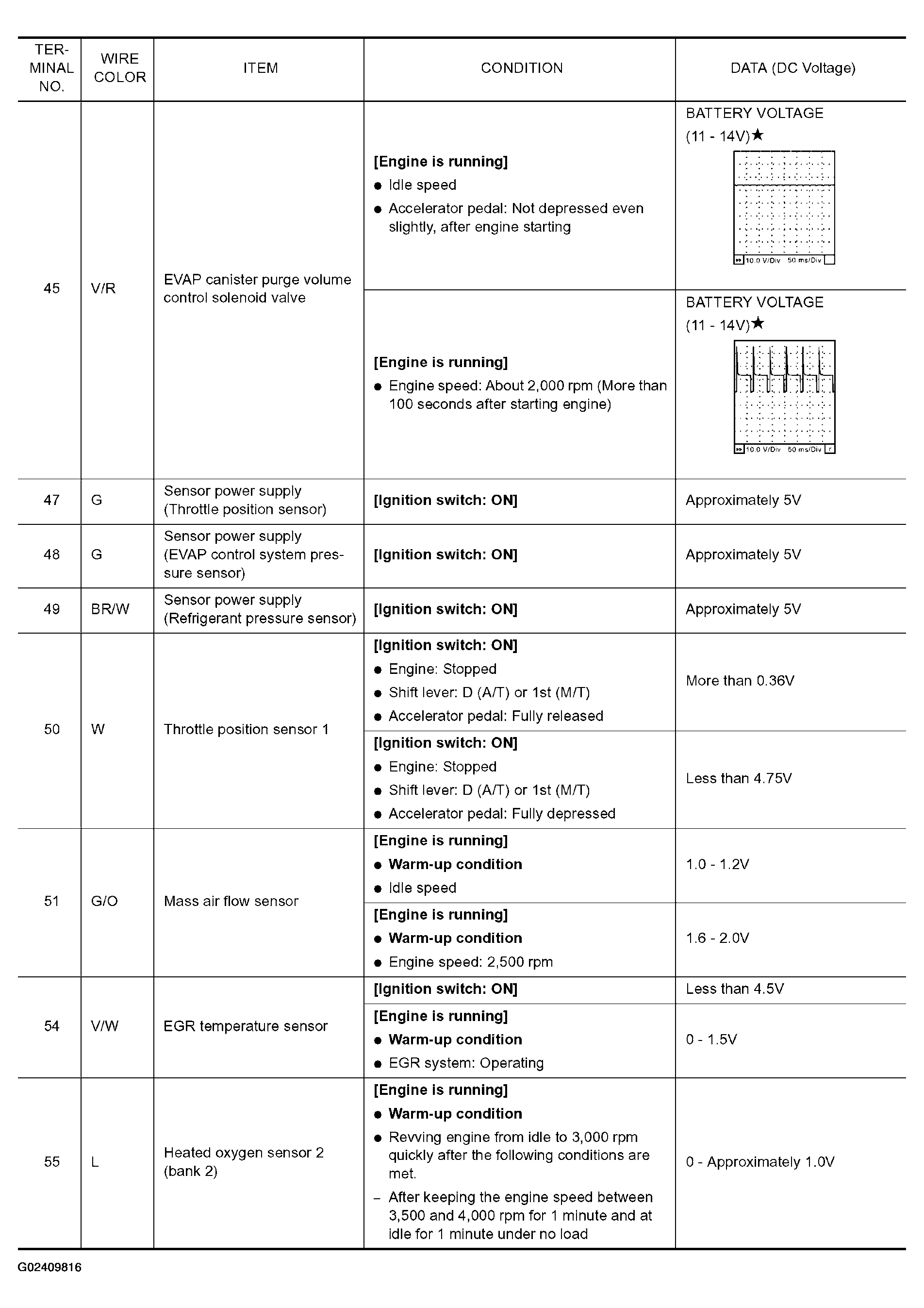 G02409816