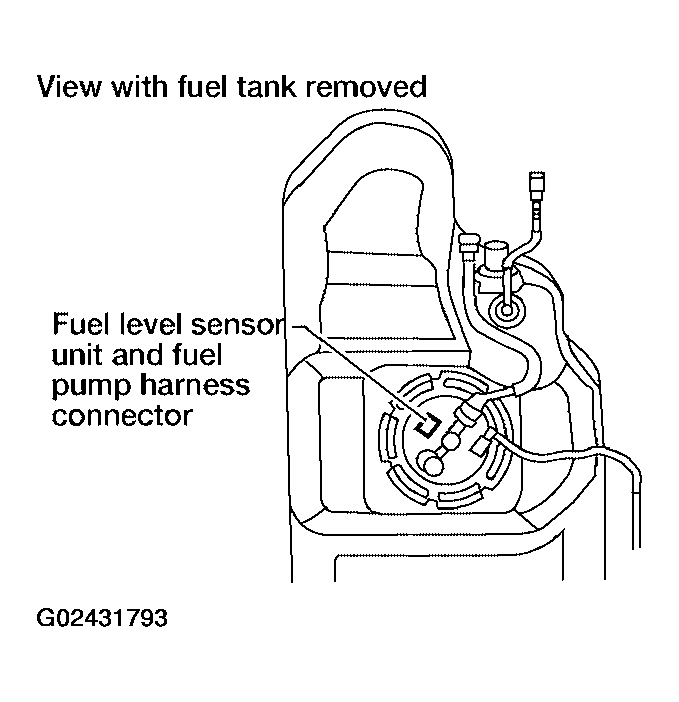 G02431793