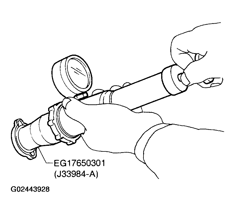 G02443929