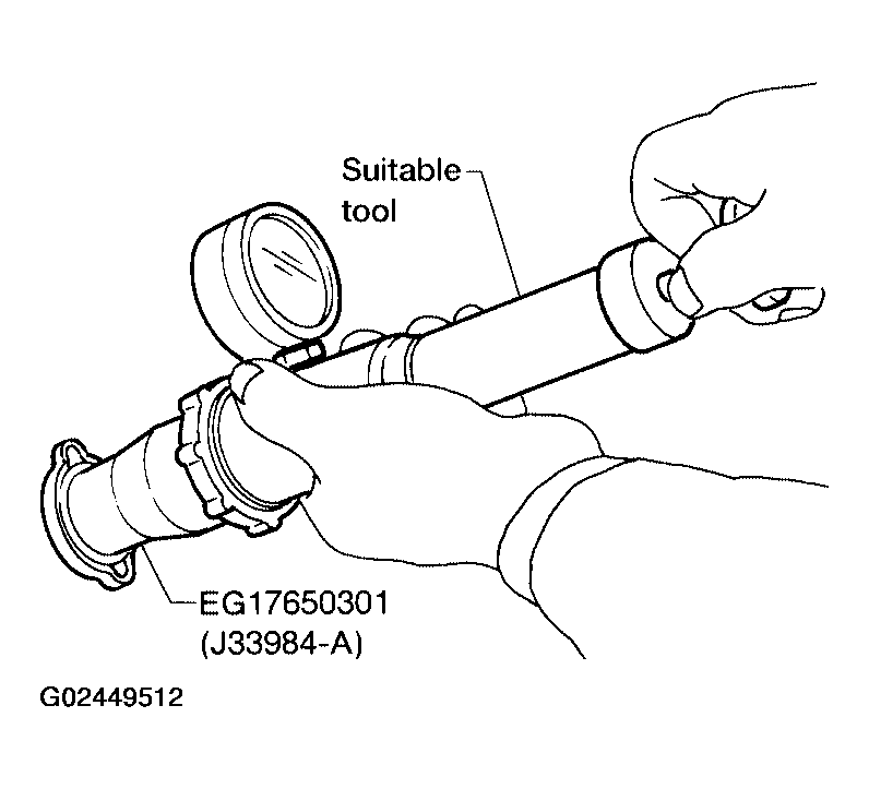 G02449512