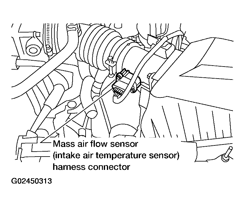 G02450313