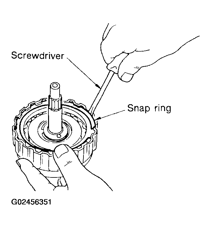 G02456351