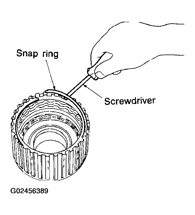 G02456389