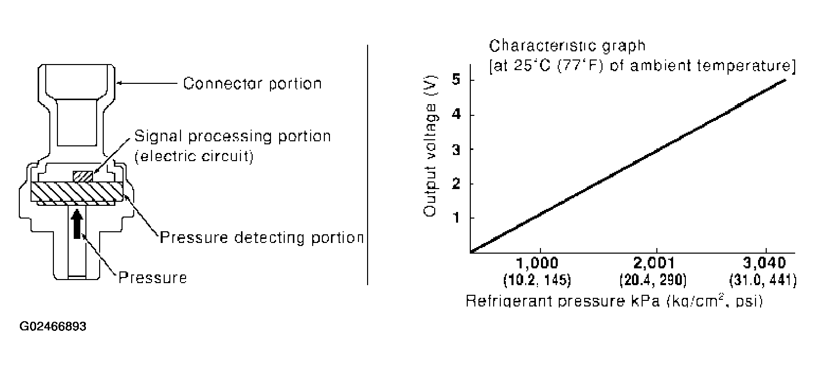 G02466893
