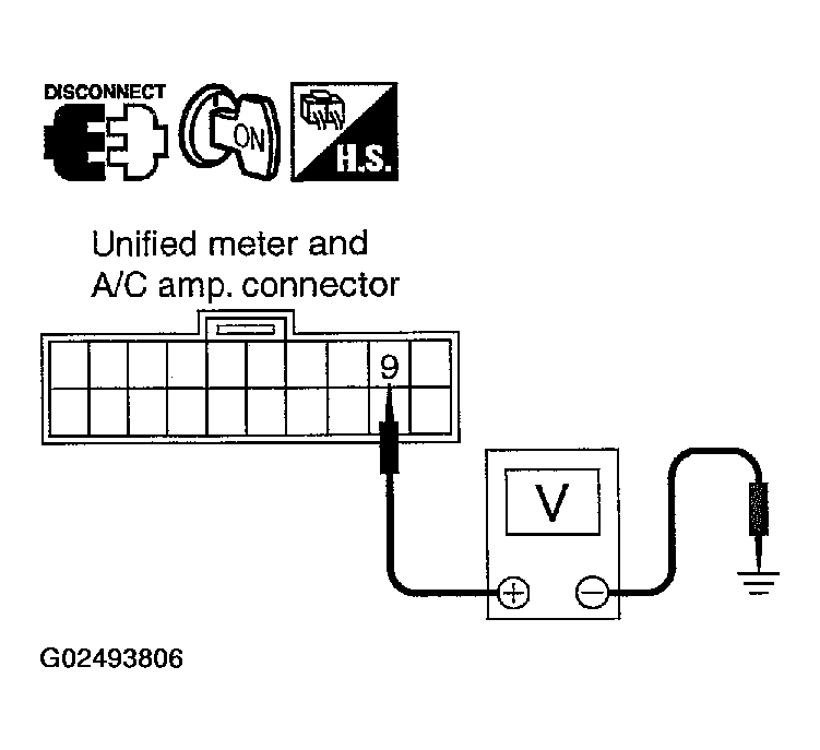 G02493806
