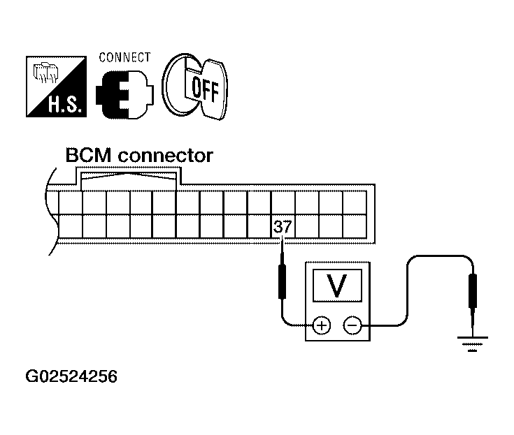 G02524256