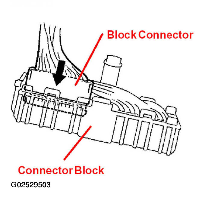 G02529503