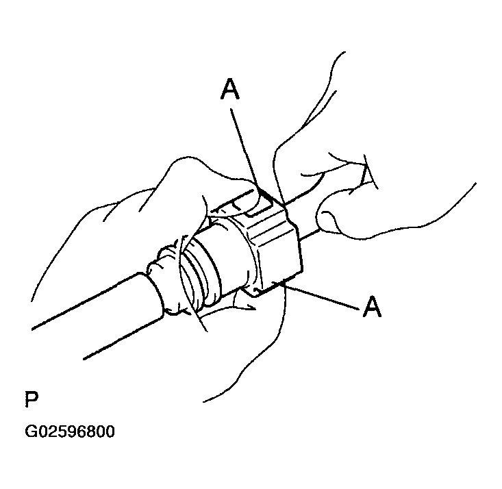 G02596800
