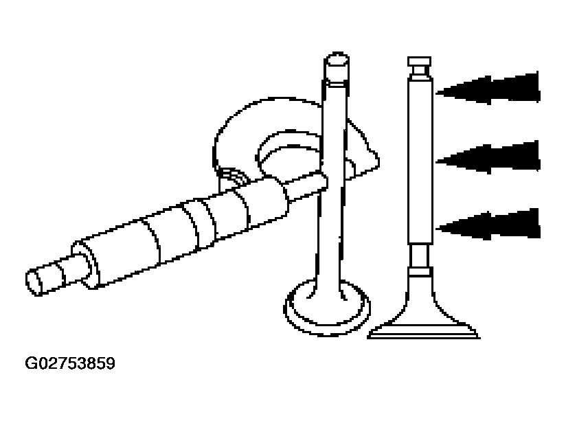 G02753859
