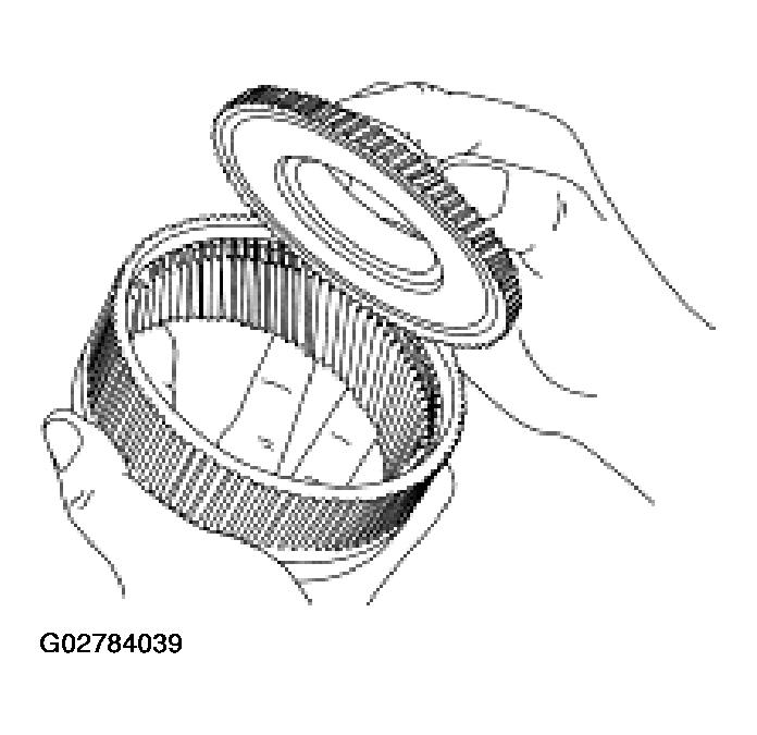 G02784039