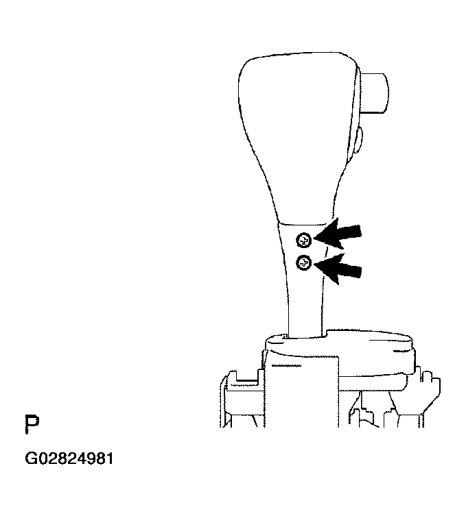 G02824981