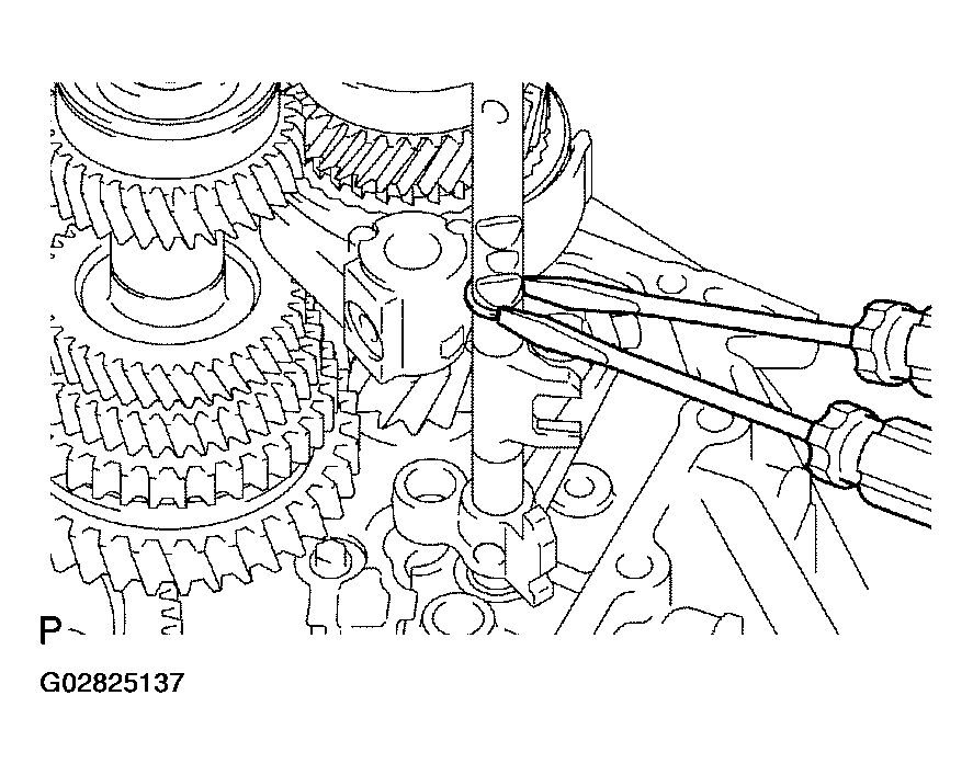 G02825137
