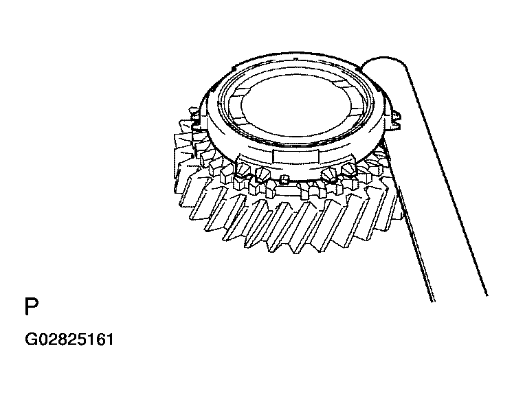 G02825161