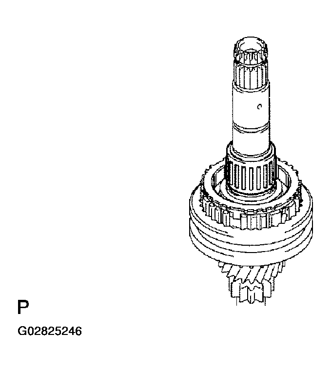 G02825246