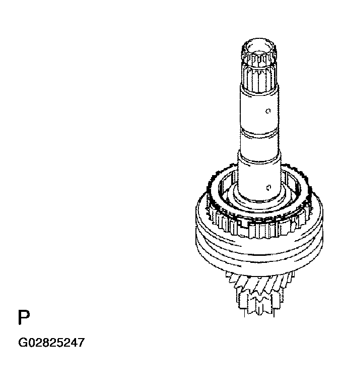 G02825247