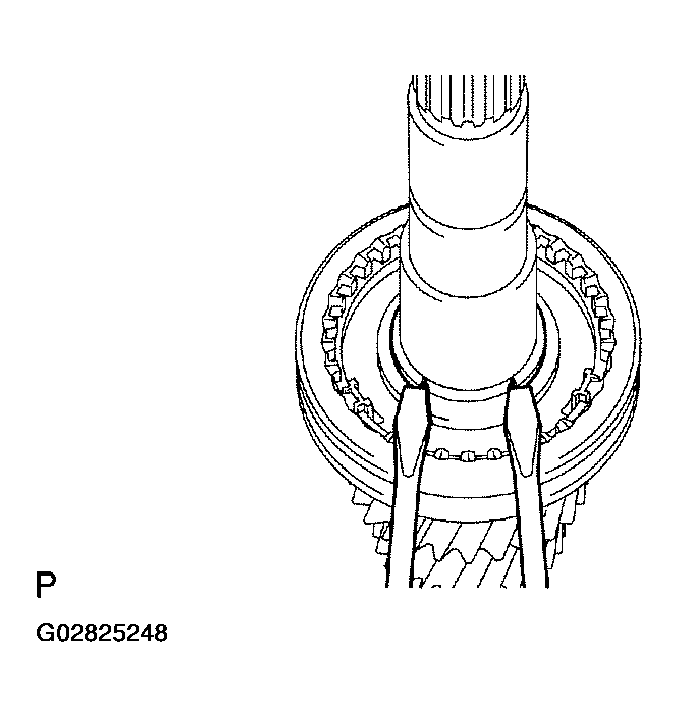G02825248