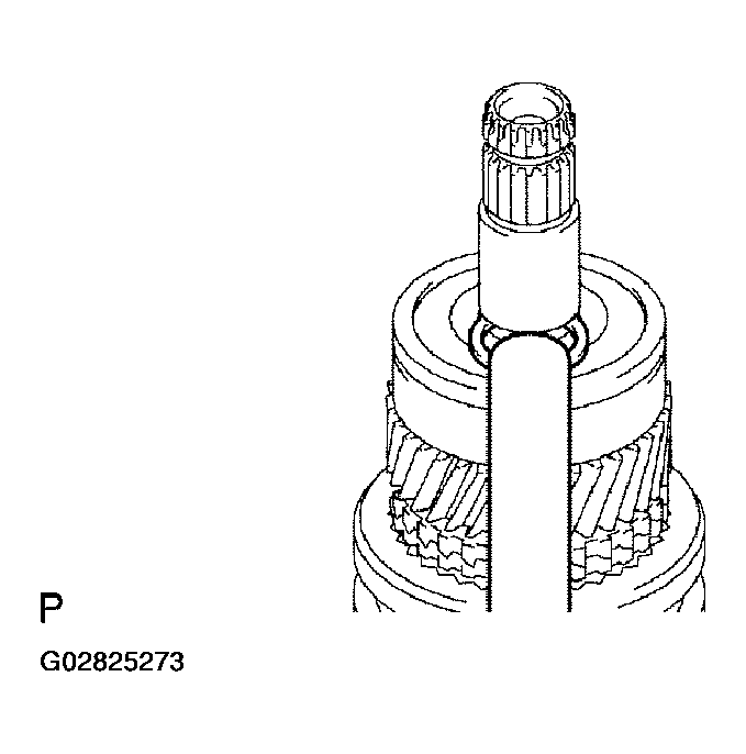 G02825273