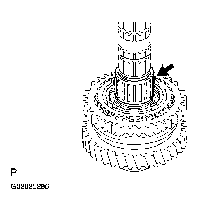 G02825286