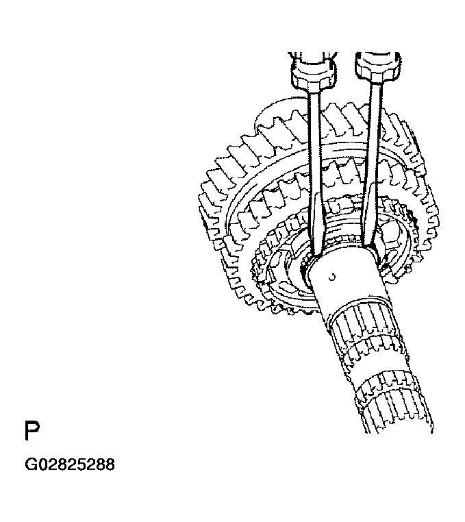 G02825288