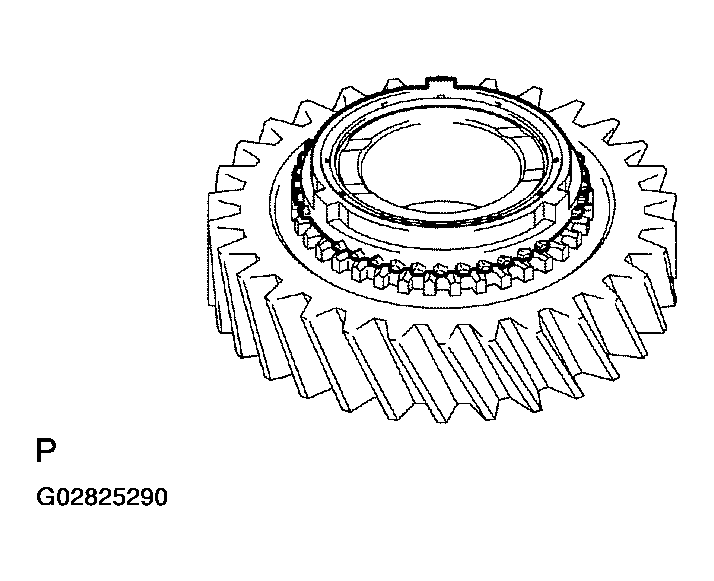 G02825290