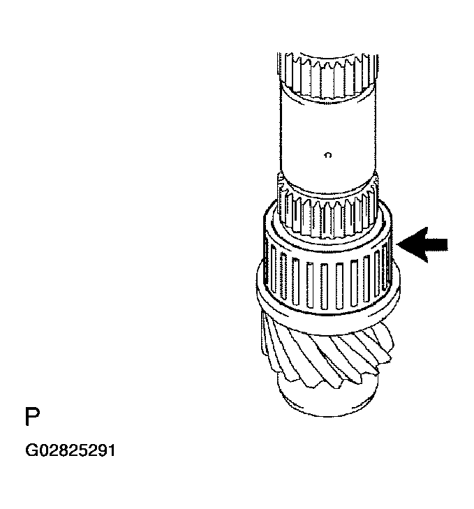 G02825291