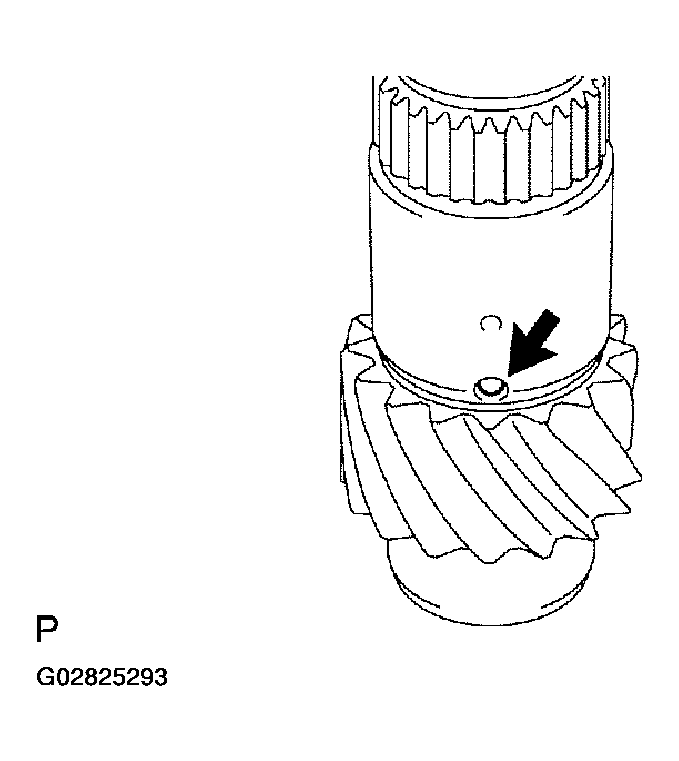 G02825293