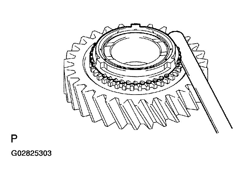 G02825303
