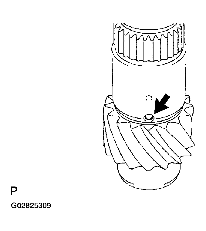 G02825309