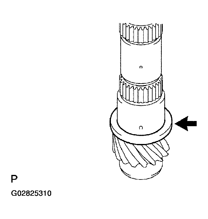 G02825310