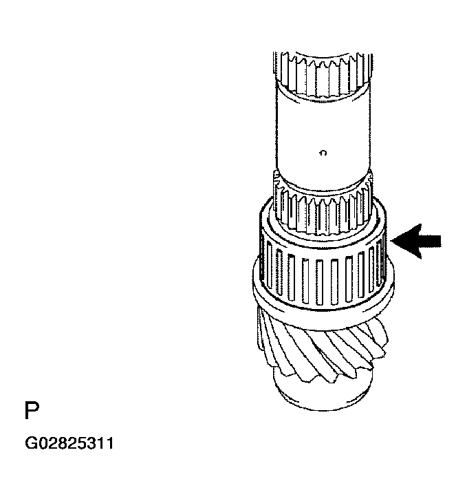 G02825311