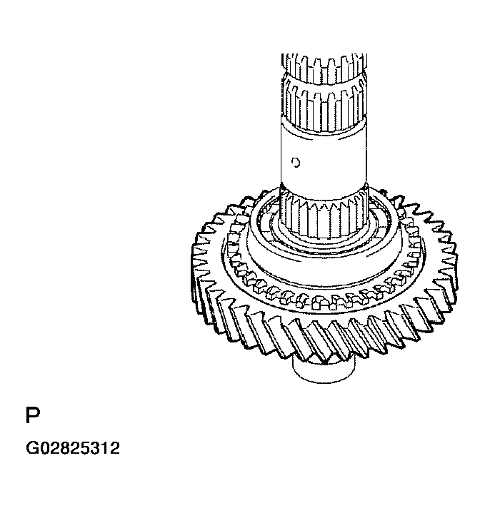 G02825312